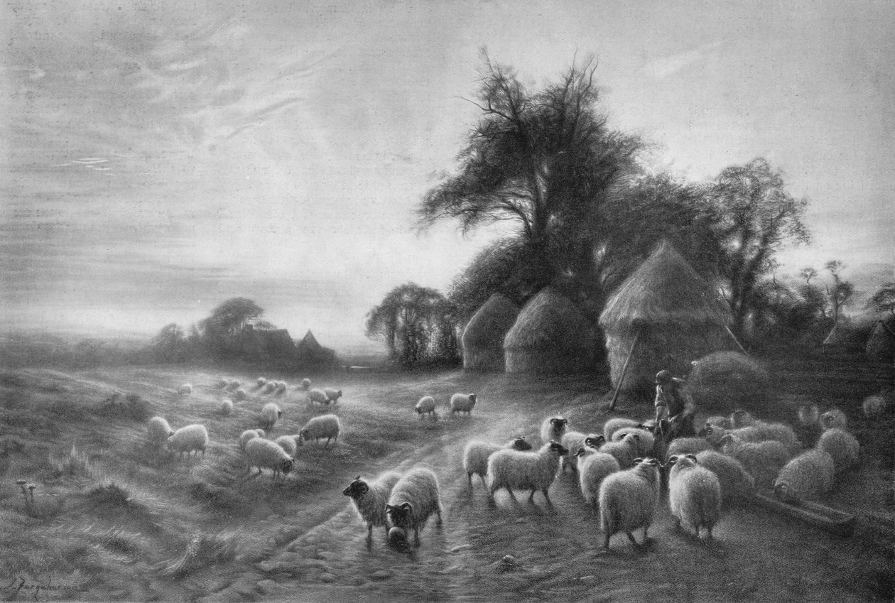 Sheep Feeding by Joseph Farquharson