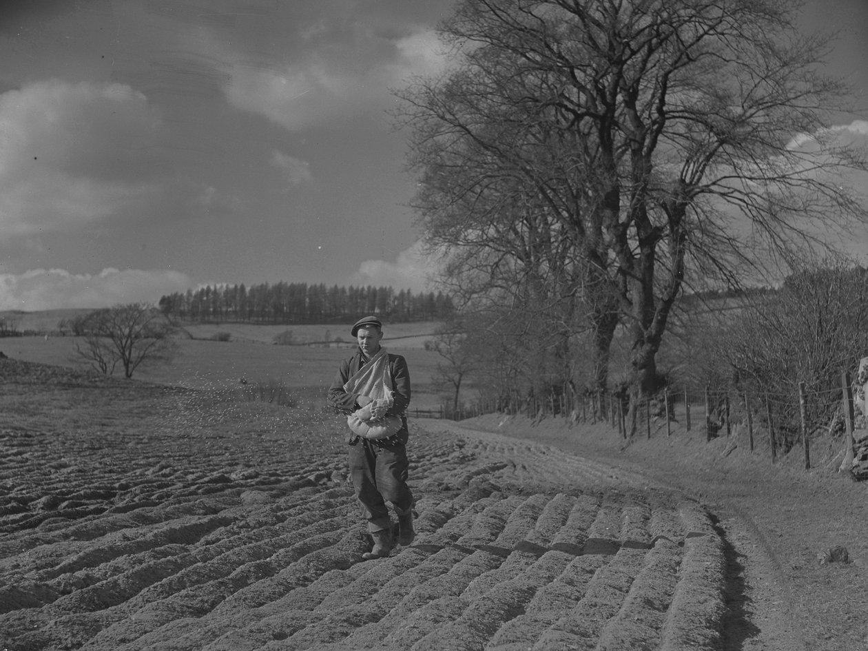 Man sowing seed by hand by Joseph Hardman