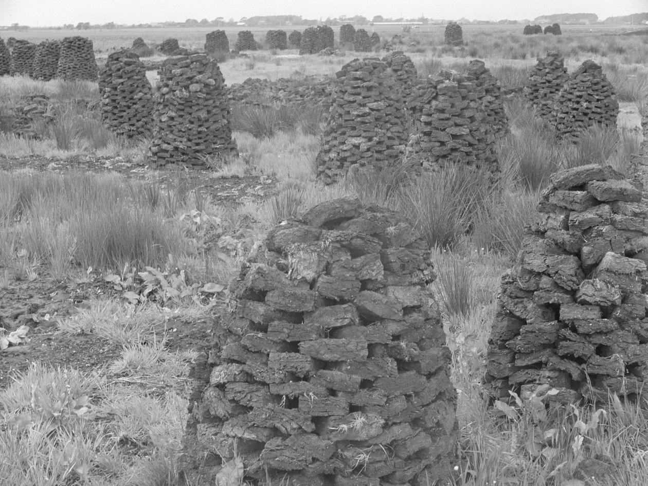 Stacks of Peat by Joseph Hardman