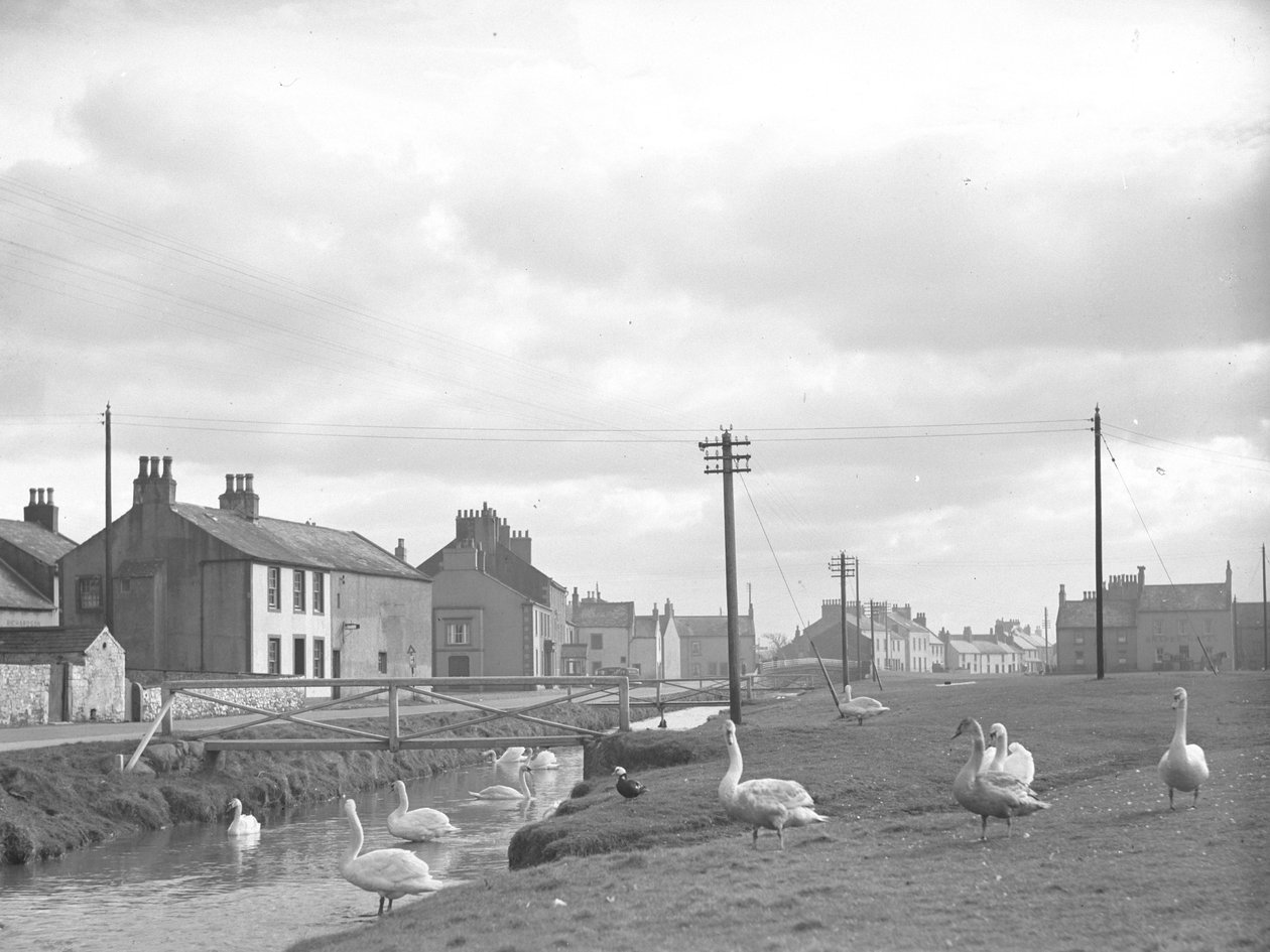 Street at Allonby with swans and stream by Joseph Hardman
