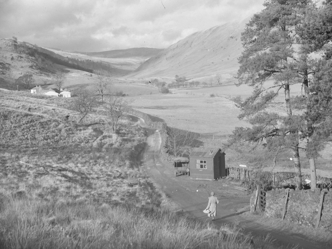 View of fields and hills of Bannisdale by Joseph Hardman
