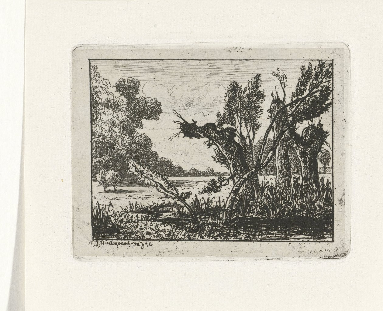 Pollard Willows by Joseph Hartogensis