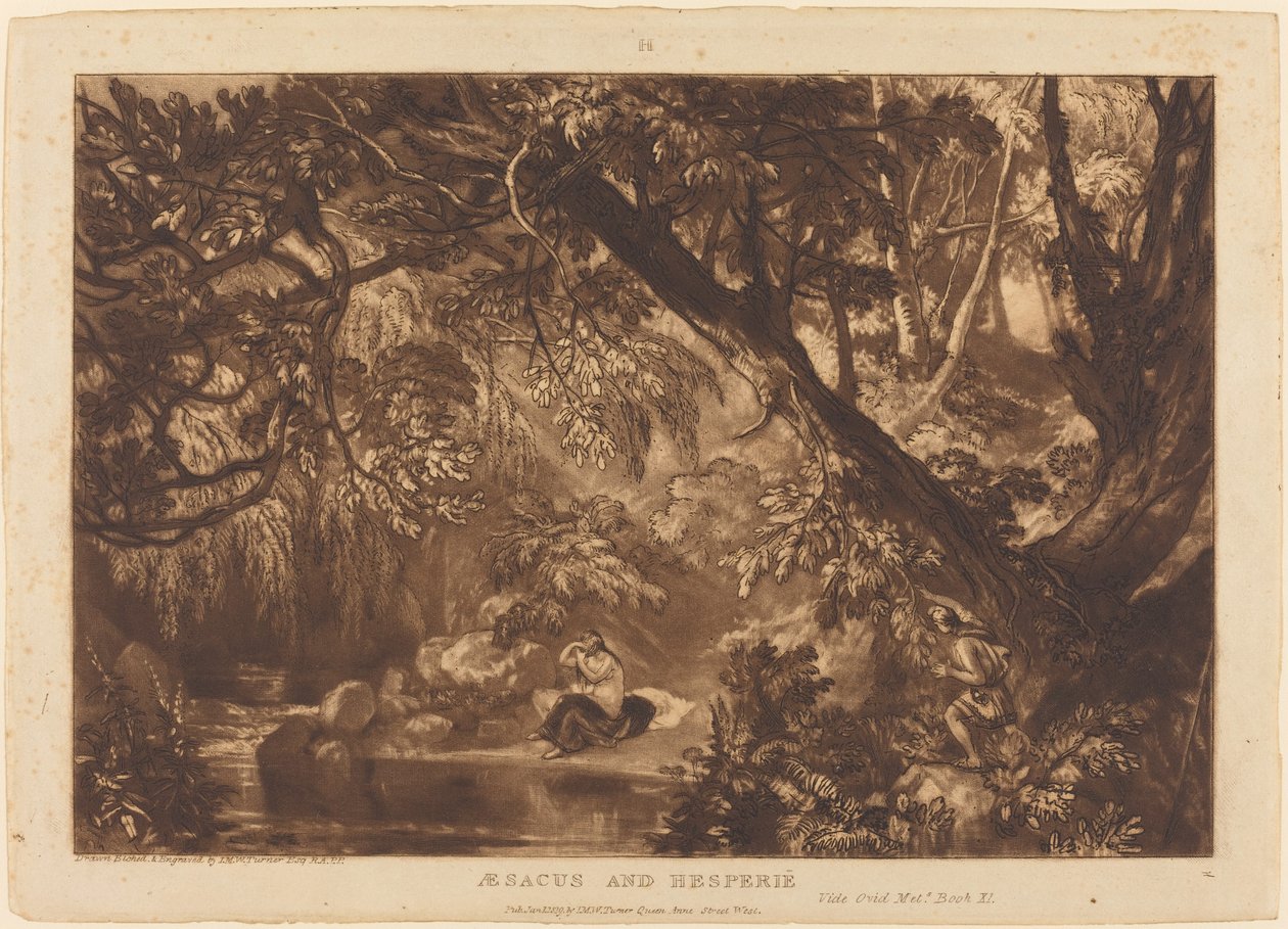 Aesacus and Hesperie by Joseph Mallord William Turner