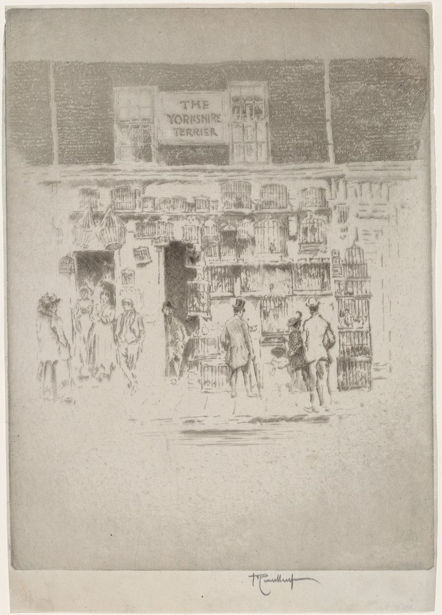 The Yorkshire Terrier by Joseph Pennell