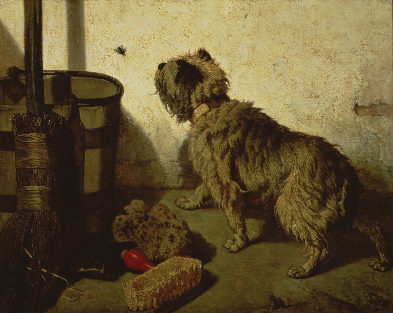 The Dog and the Fly by Joseph Stevens