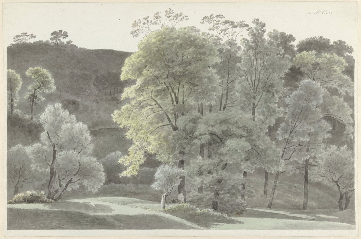 Trees in the Vicinity of Subiaco by Josephus Augustus Knip
