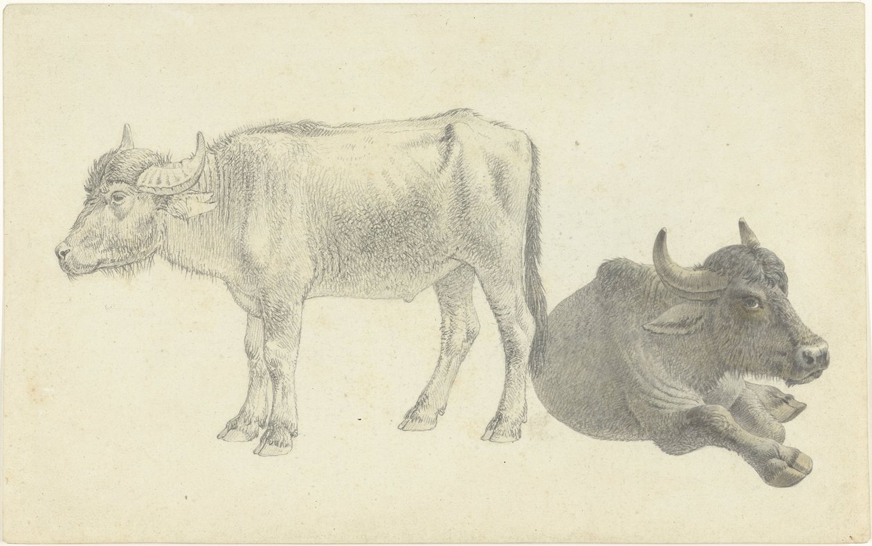 Lying and Standing Cattle by Josephus Augustus Knip