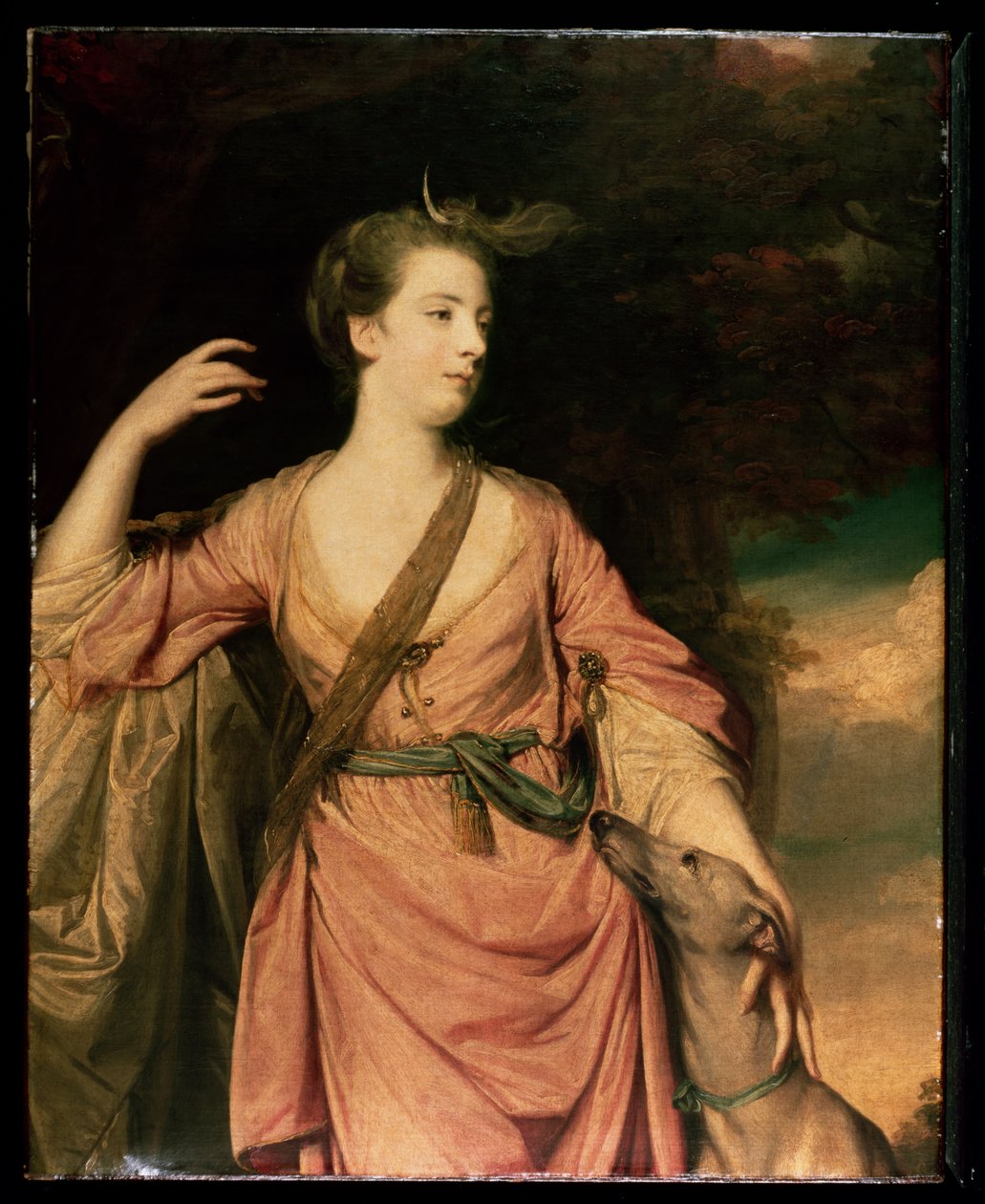 Lady Dawson c.1763 by Joshua Reynolds