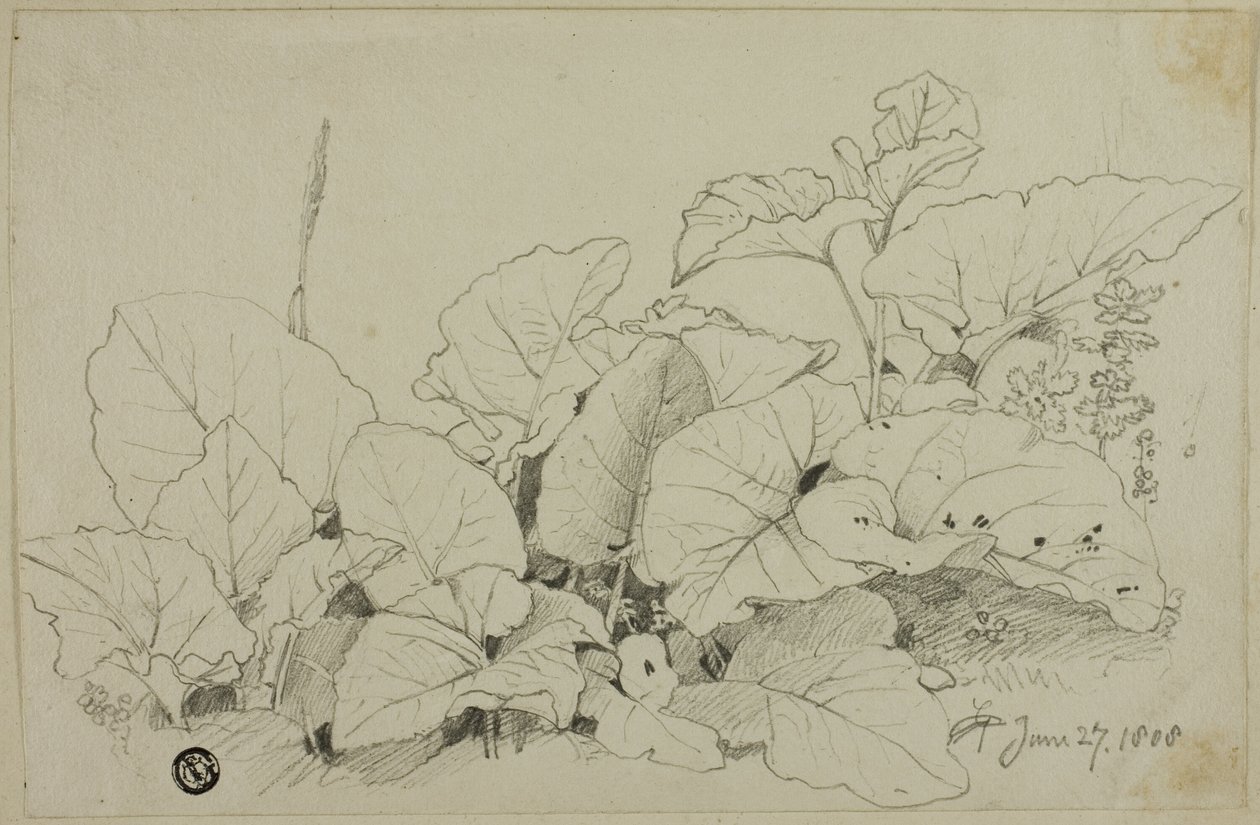Clump of Leaves and Flowers by Joshua Cristall