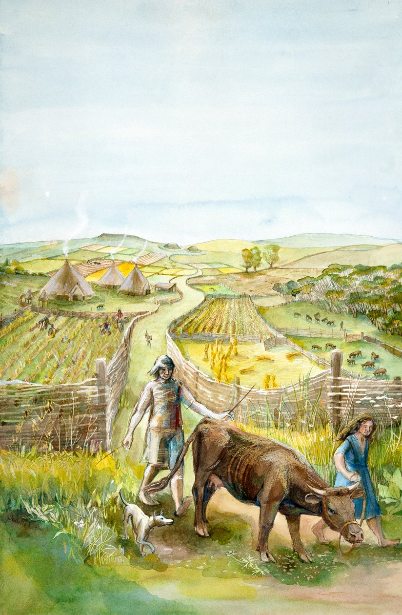 Rural Landscape by Judith Dobie