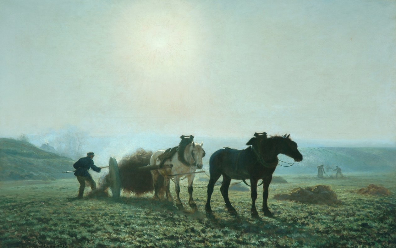 Horses in a Field, 1873 by Jules Leon Montigny