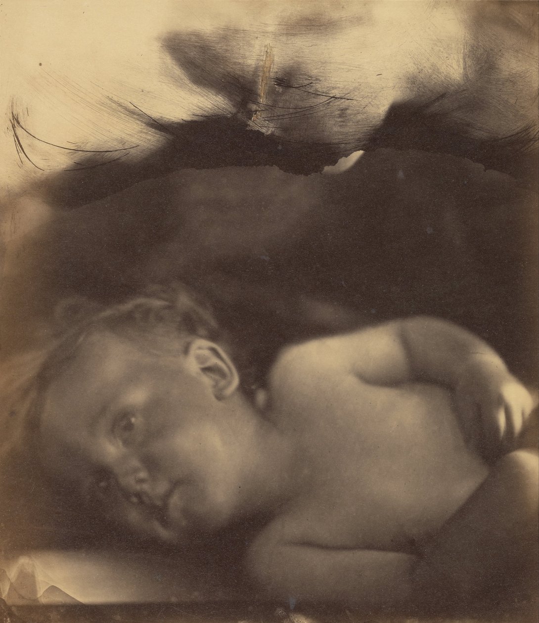 The Vision of Infant Samuel by Julia Margaret Cameron