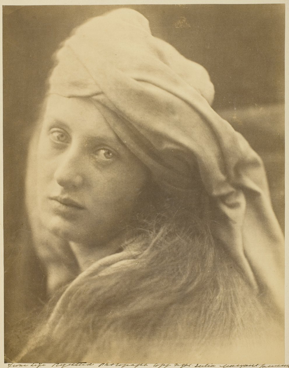 A Study of Beatrice Cenci by Julia Margaret Cameron