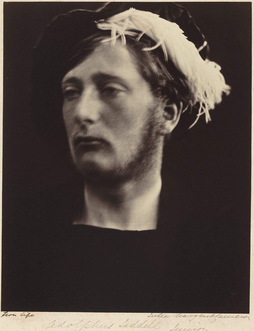 Adolphus Liddell, Junior by Julia Margaret Cameron