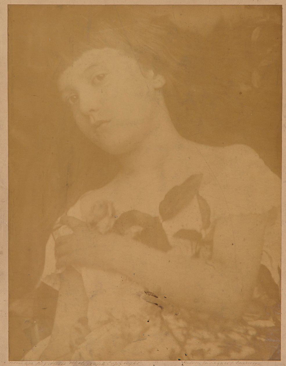Florence by Julia Margaret Cameron