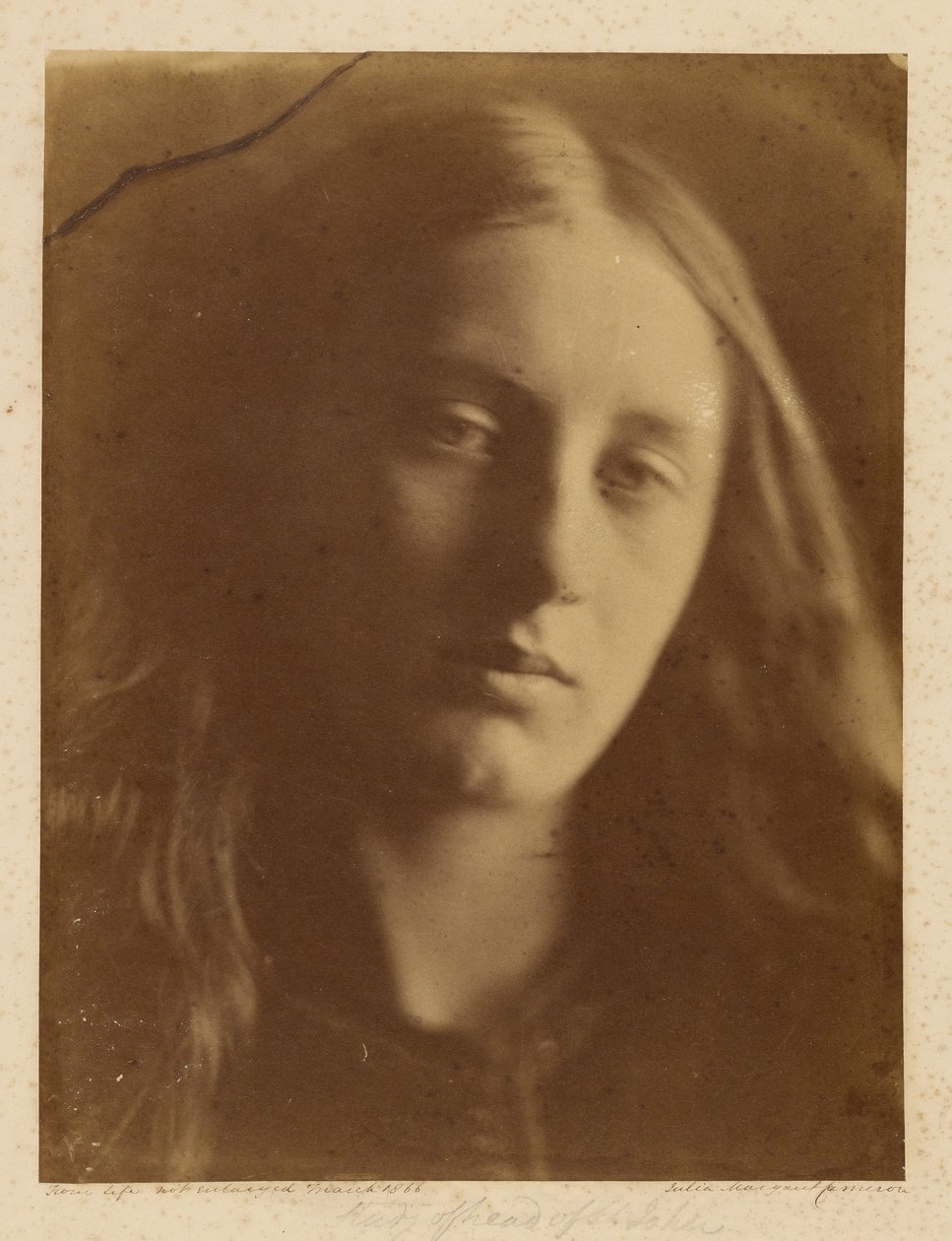 Study Head of St. John by Julia Margaret Cameron