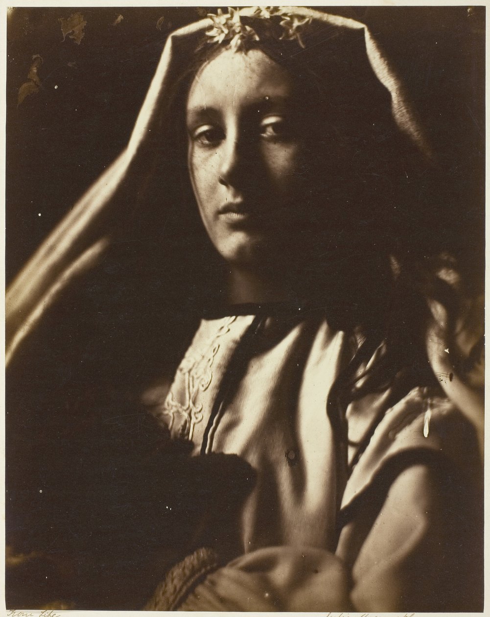 The Neapolitan by Julia Margaret Cameron