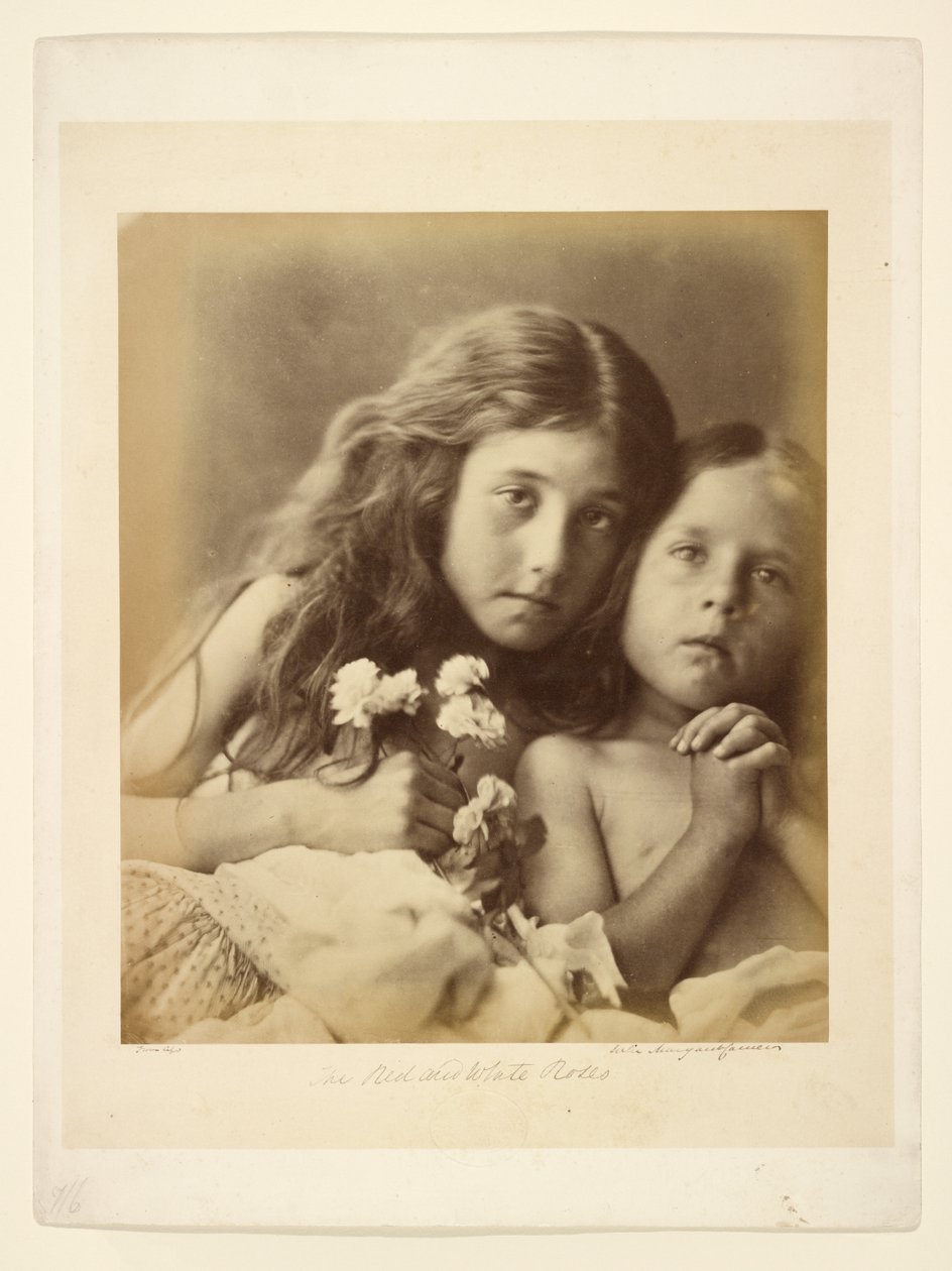 The Red and White Roses by Julia Margaret Cameron