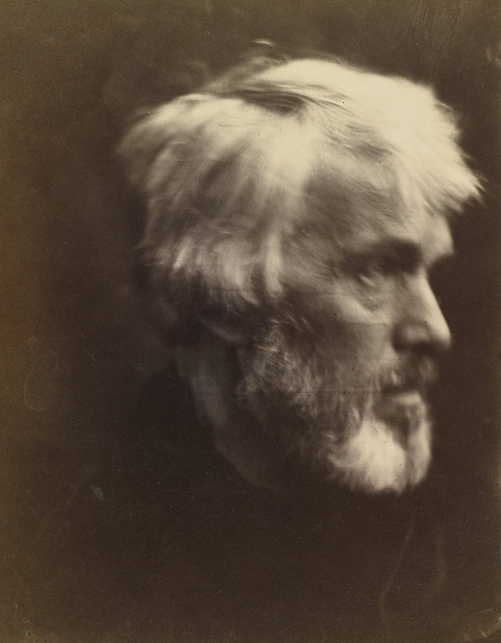Thomas Carlyle (1795 - 1881) by Julia Margaret Cameron