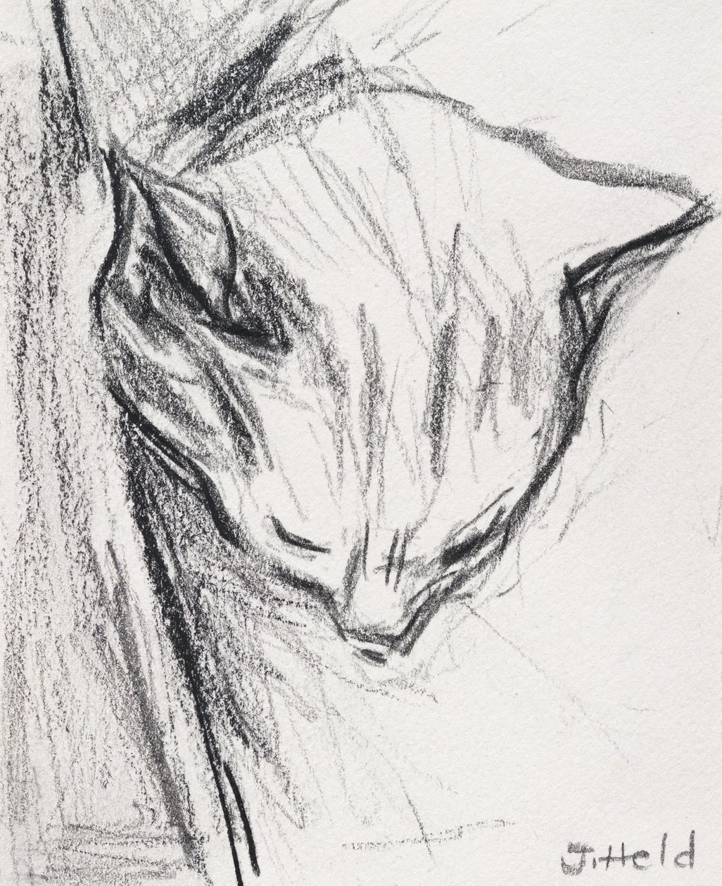 Sleeping Cat by Julie Held