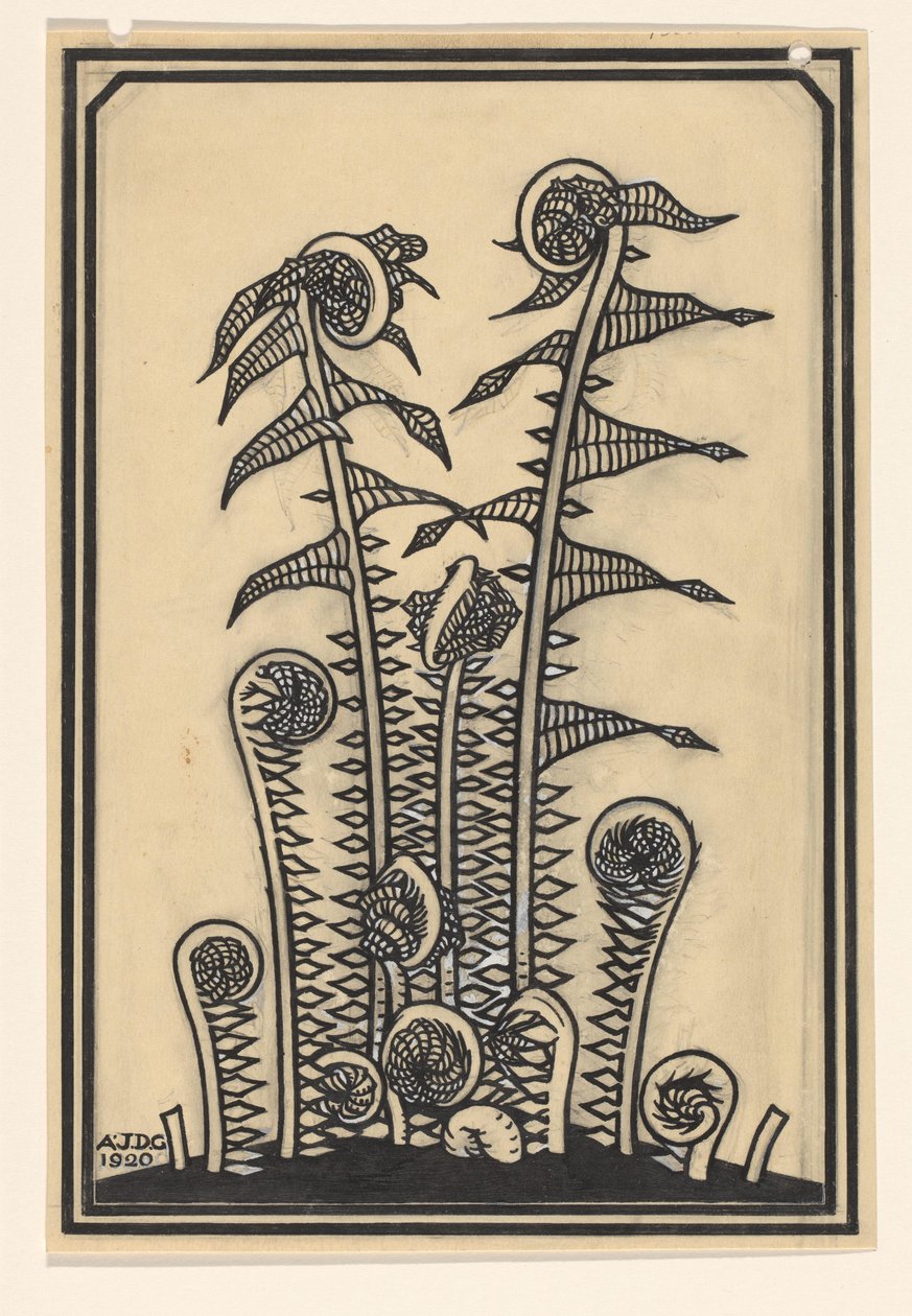 Ferns by Julie de Graag (signed by artist)