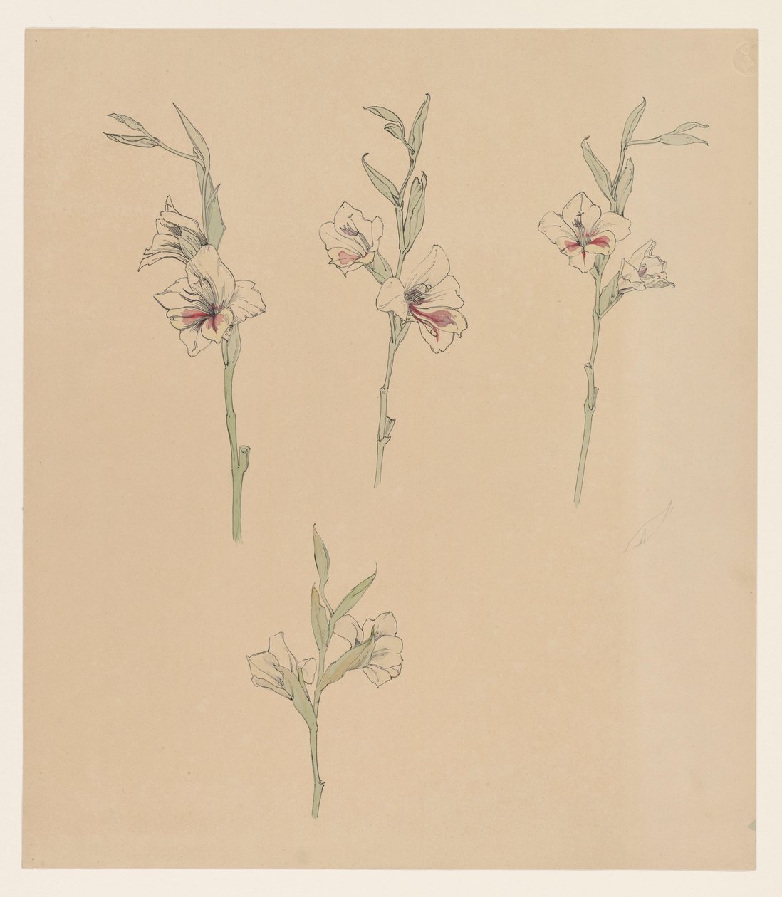 Flower Studies by Julie de Graag