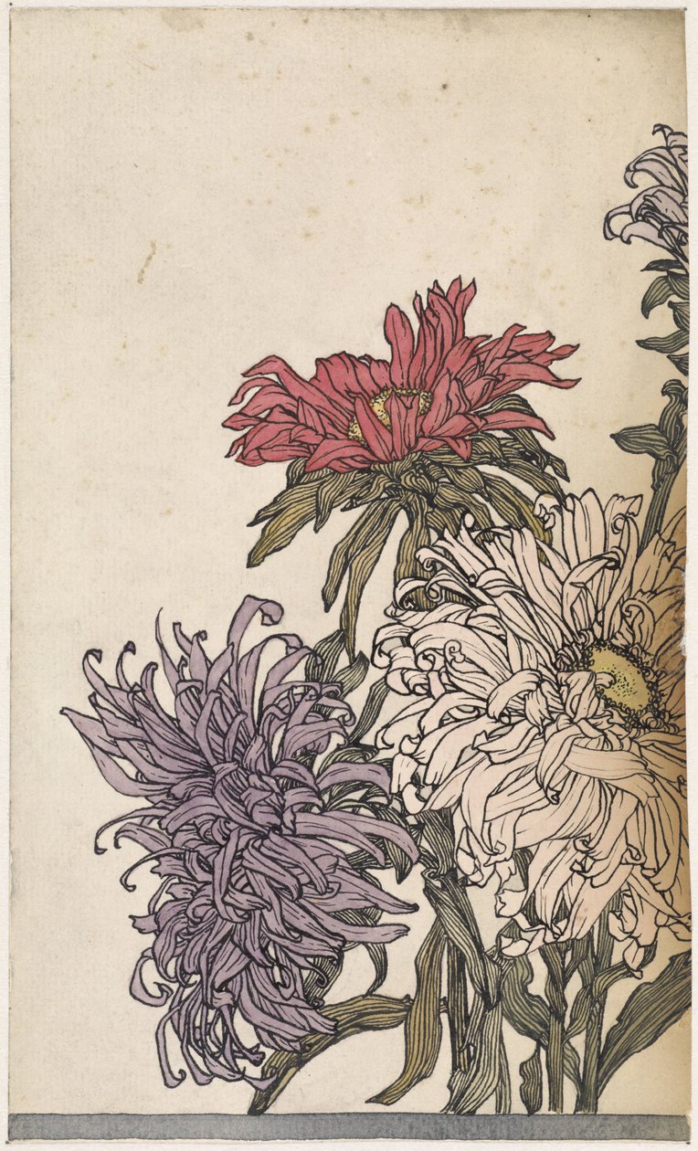 Chrysanthemums by Julie de Graag