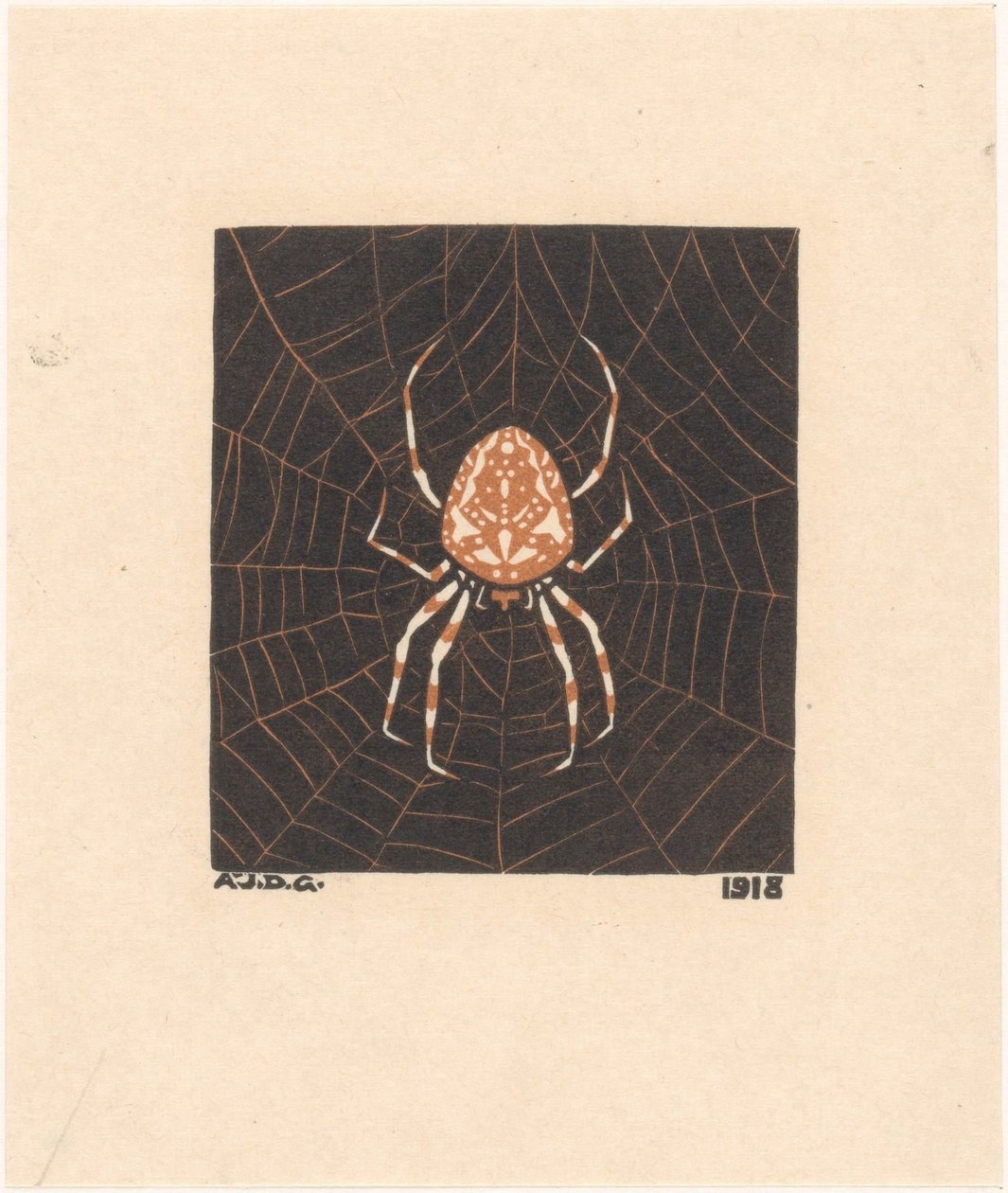 Spider in a Web by Julie de Graag