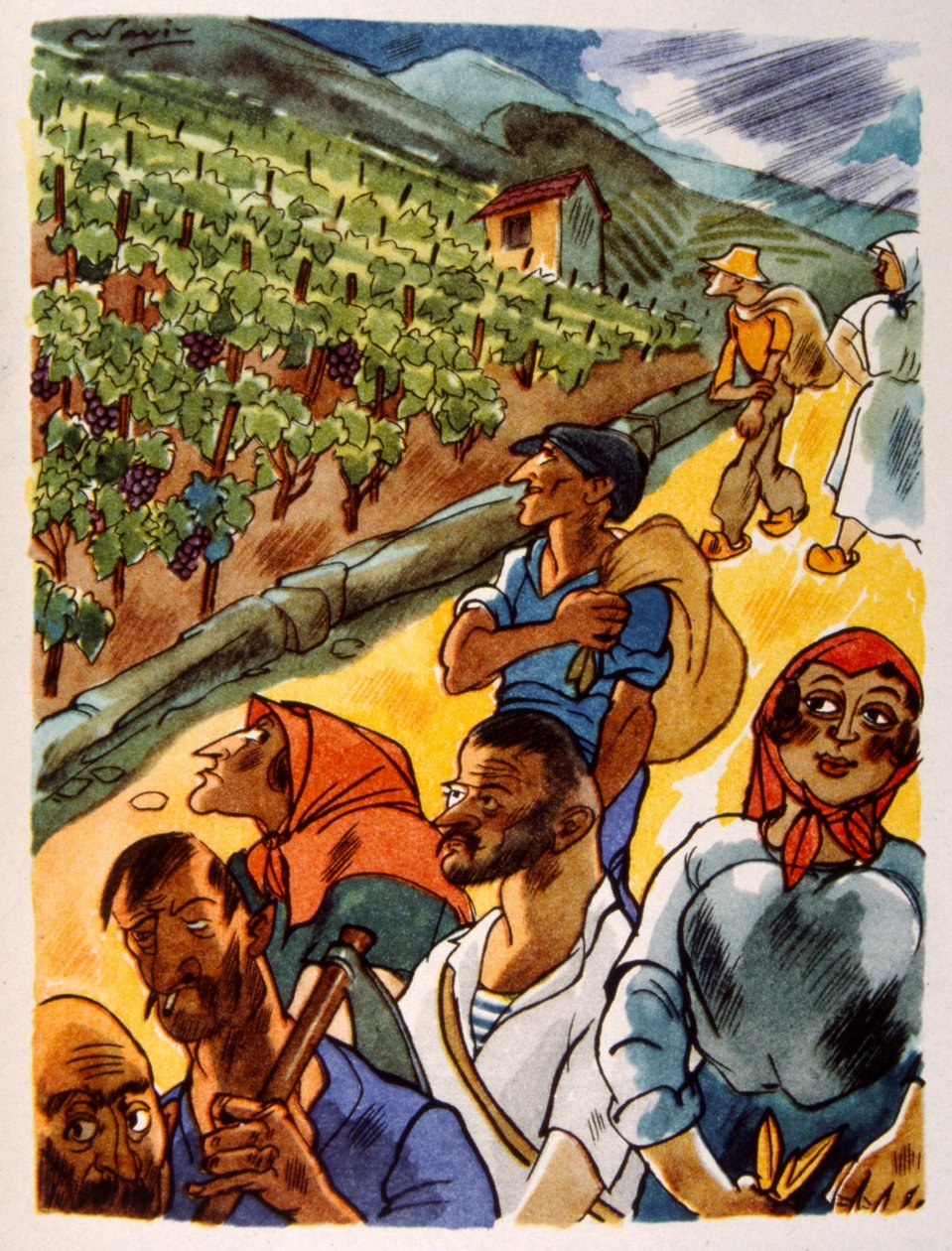French Vineyard by Julien Pavil