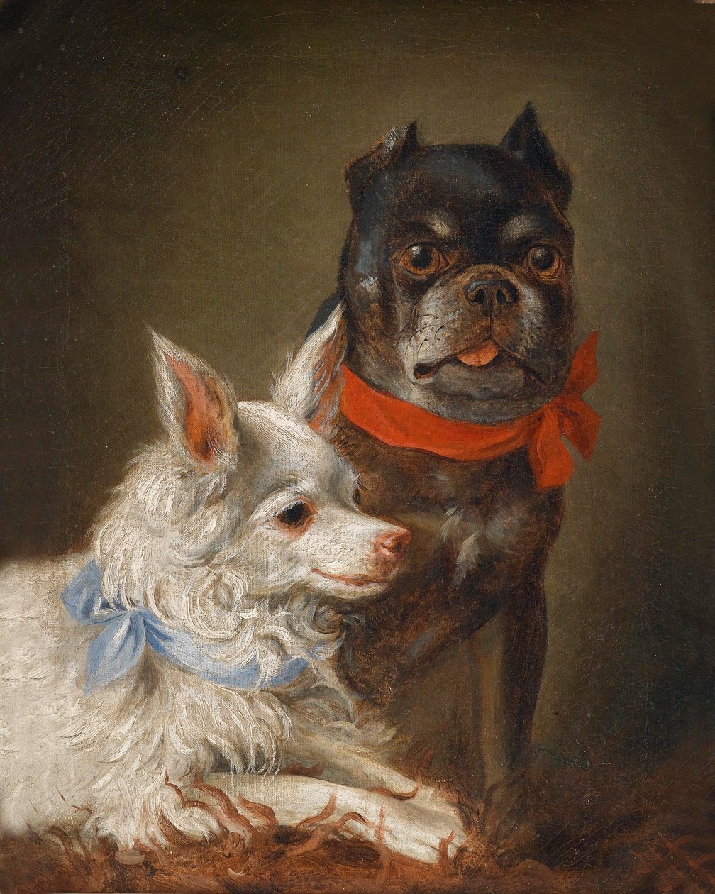 Dog Portrait by Julius Hamburger