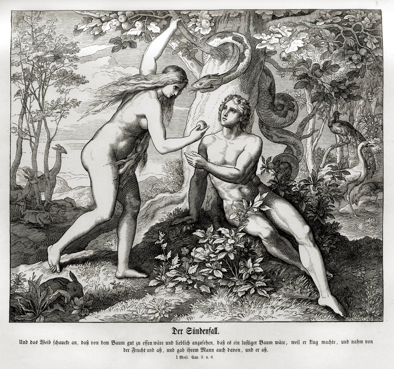The Fall, Genesis by Julius Schnorr von Carolsfeld
