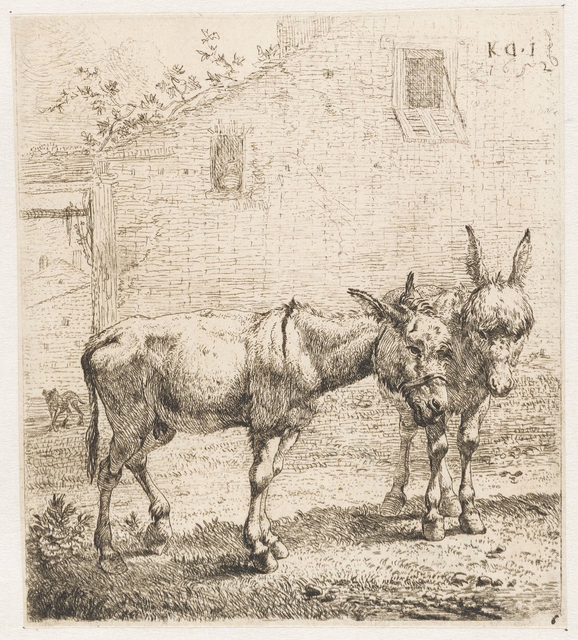 Two Donkeys by Karel Du Jardin