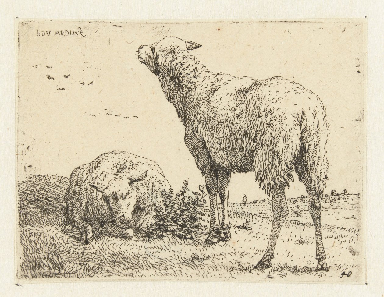 Two Sheep by Karel Du Jardin