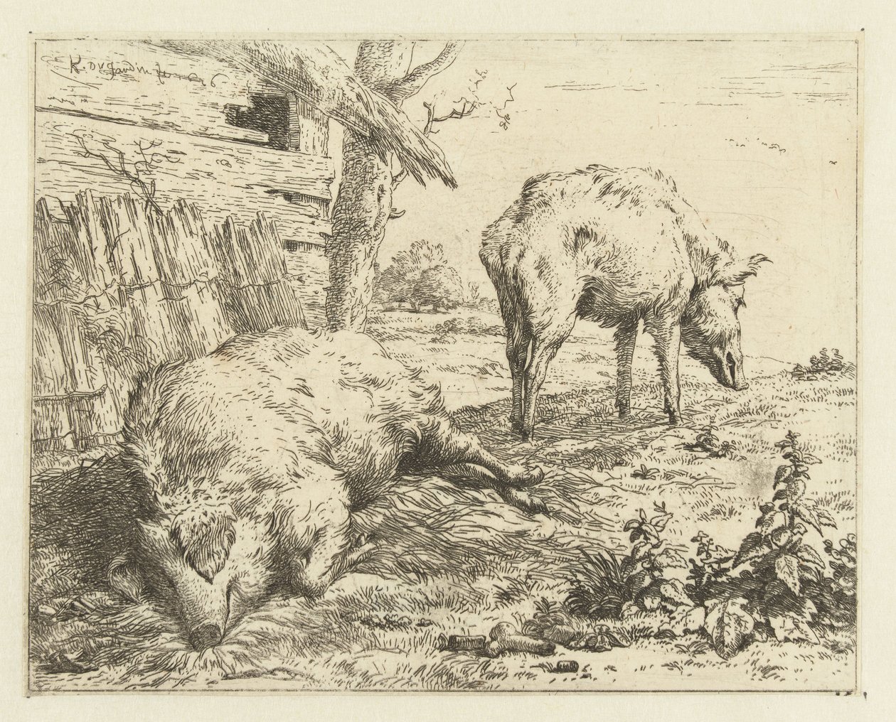 Two Swine by Karel Du Jardin