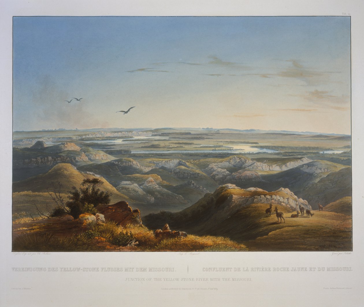 Junction of the Yellowstone River with the Missouri by Karl Bodmer