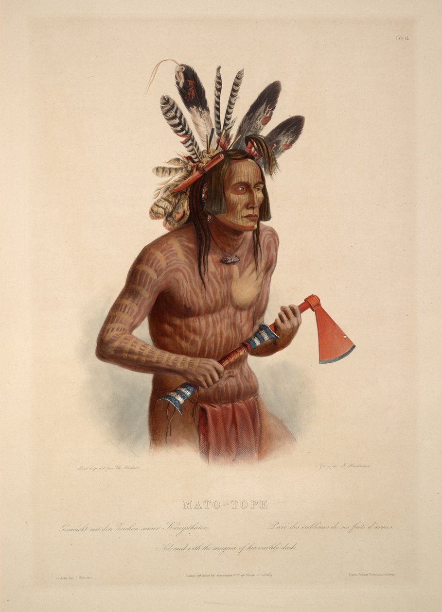 Mato-Tope Adorned with the Insignia of His Warlike Deeds by Karl Bodmer