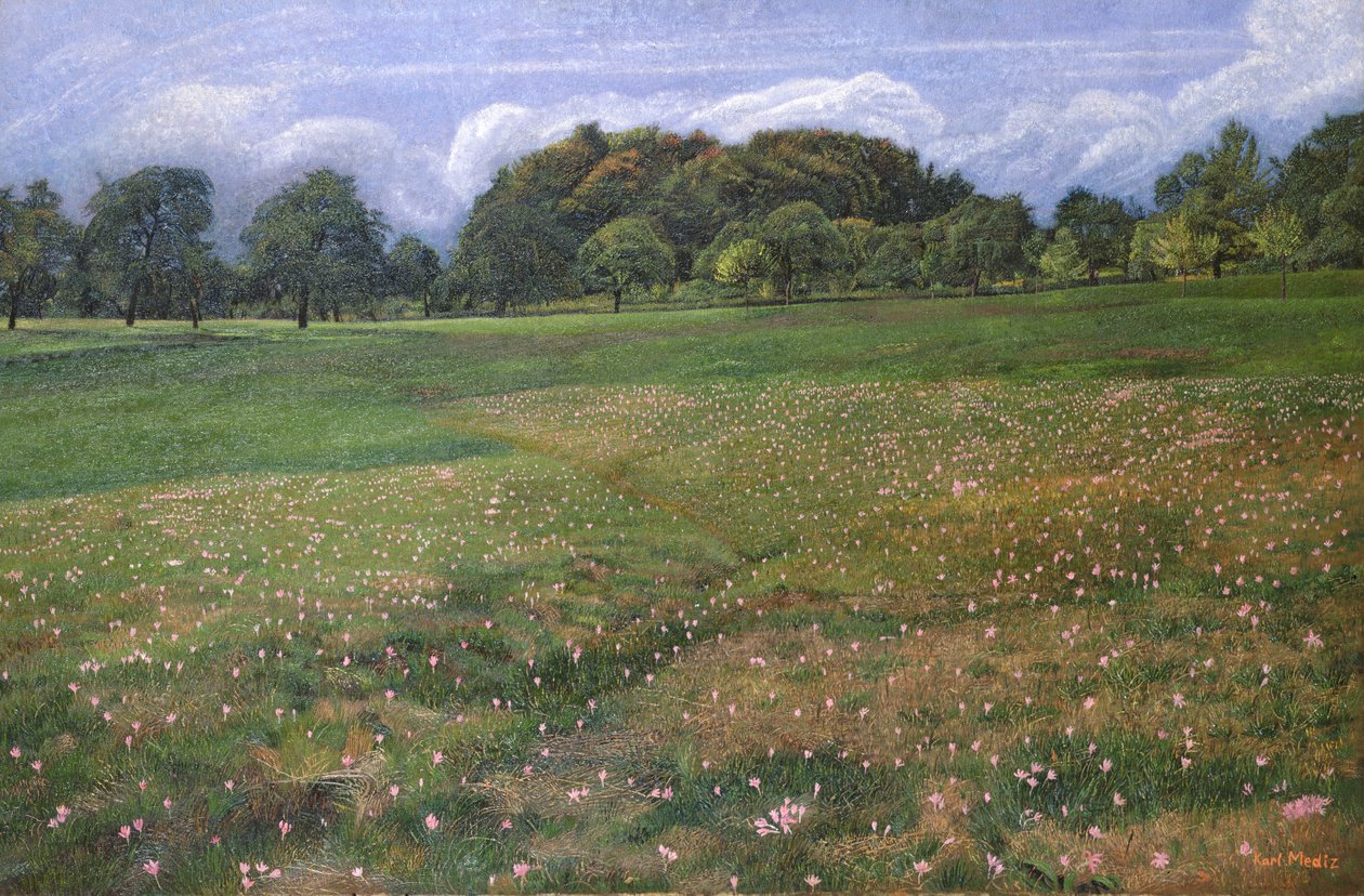 A Field of Autumn Crocus by Karl Mediz