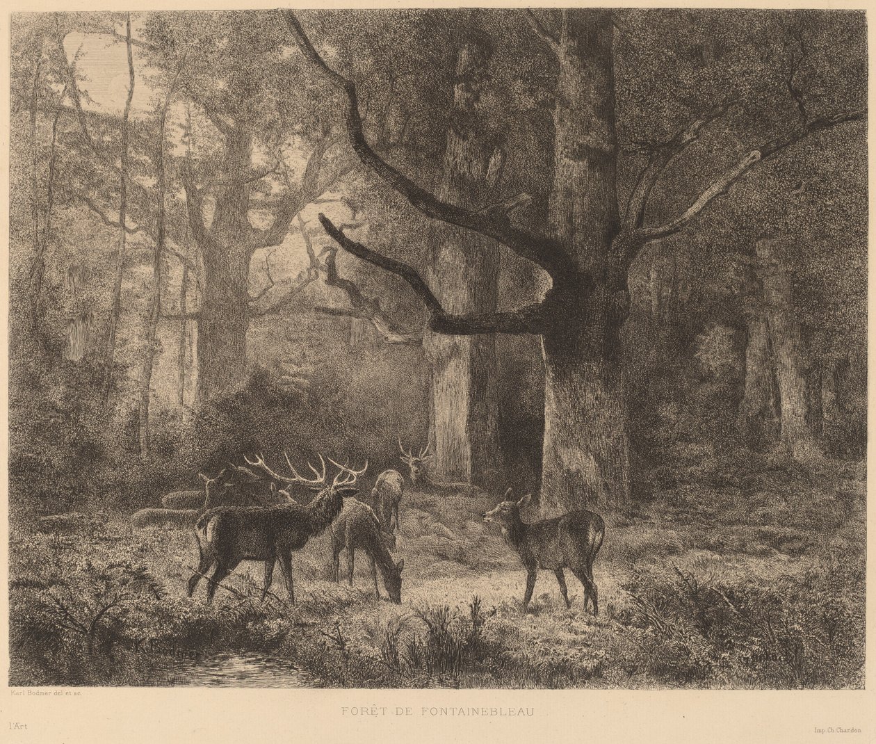 Forest of Fontainebleau by Karl Bodmer