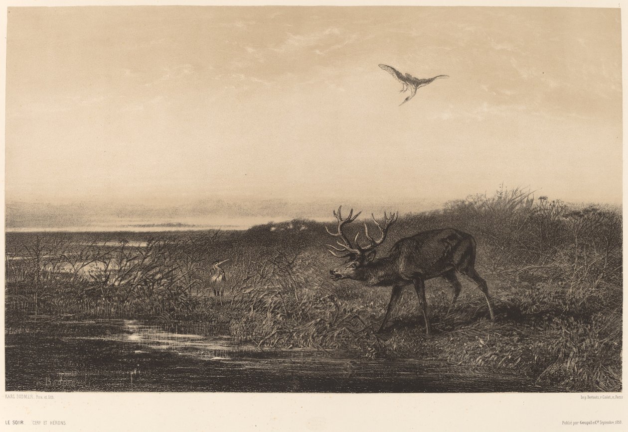 Evening. Deer and Herons by Karl Bodmer