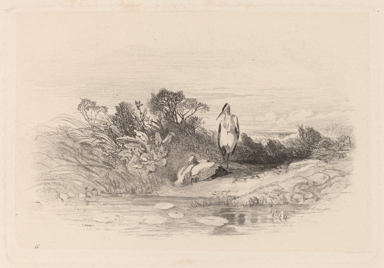 The Two Herons by Karl Bodmer