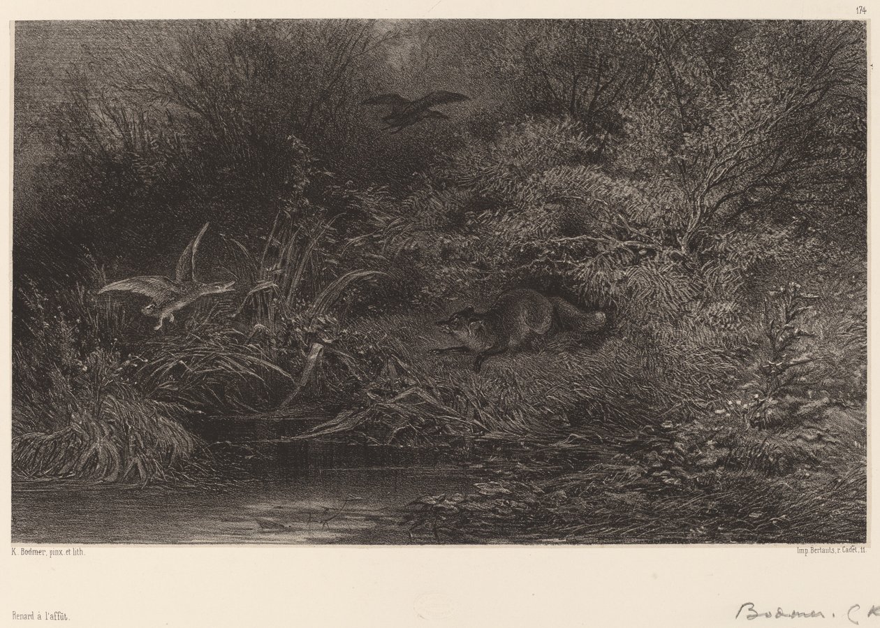 Fox in Ambush by Karl Bodmer