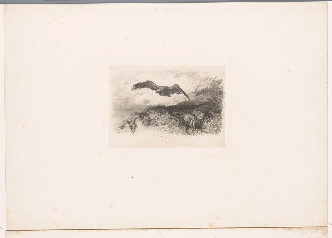 Flying Eagle by Karl Bodmer