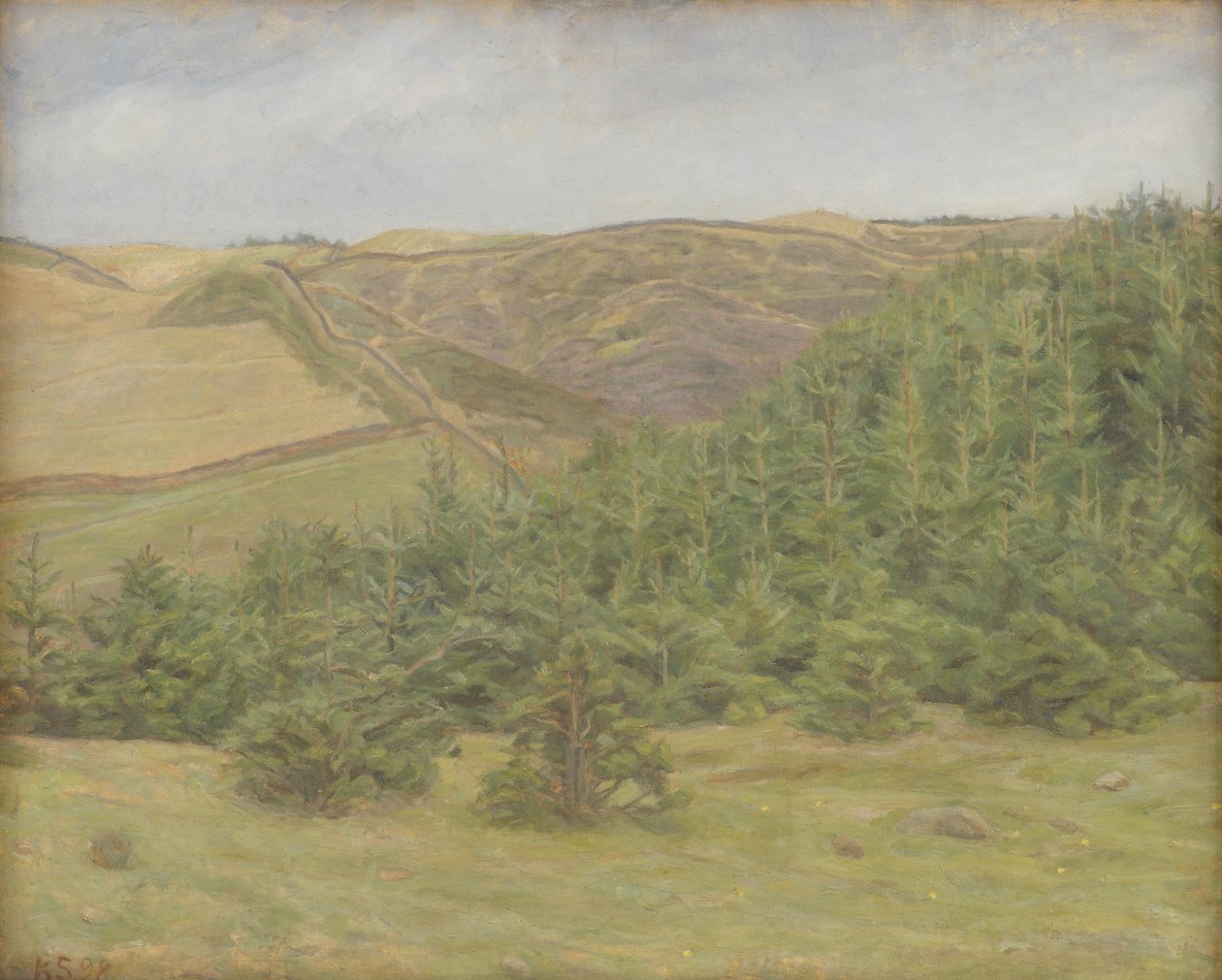 Svanninge Hills, Funen by Karl Schou