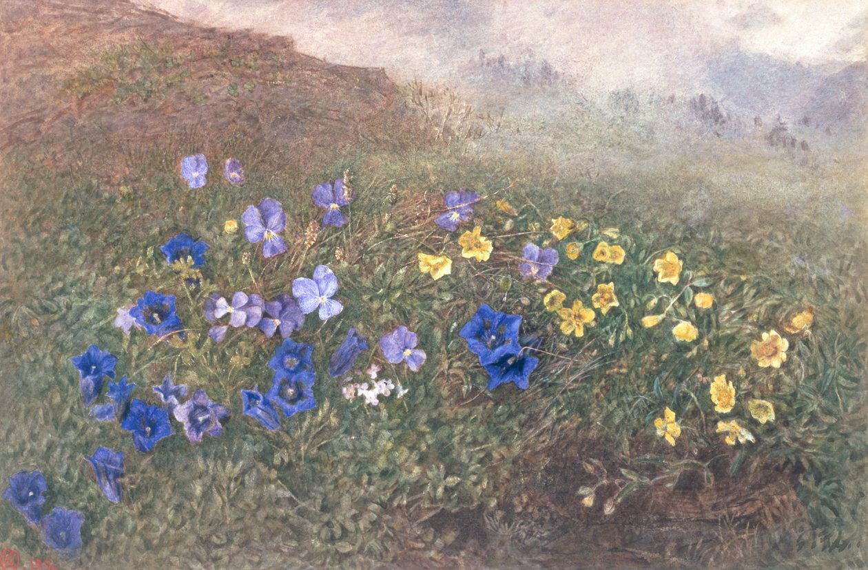 Spring Mountain Flowers, 1896 by Kate fl.1873 96 Goodwin