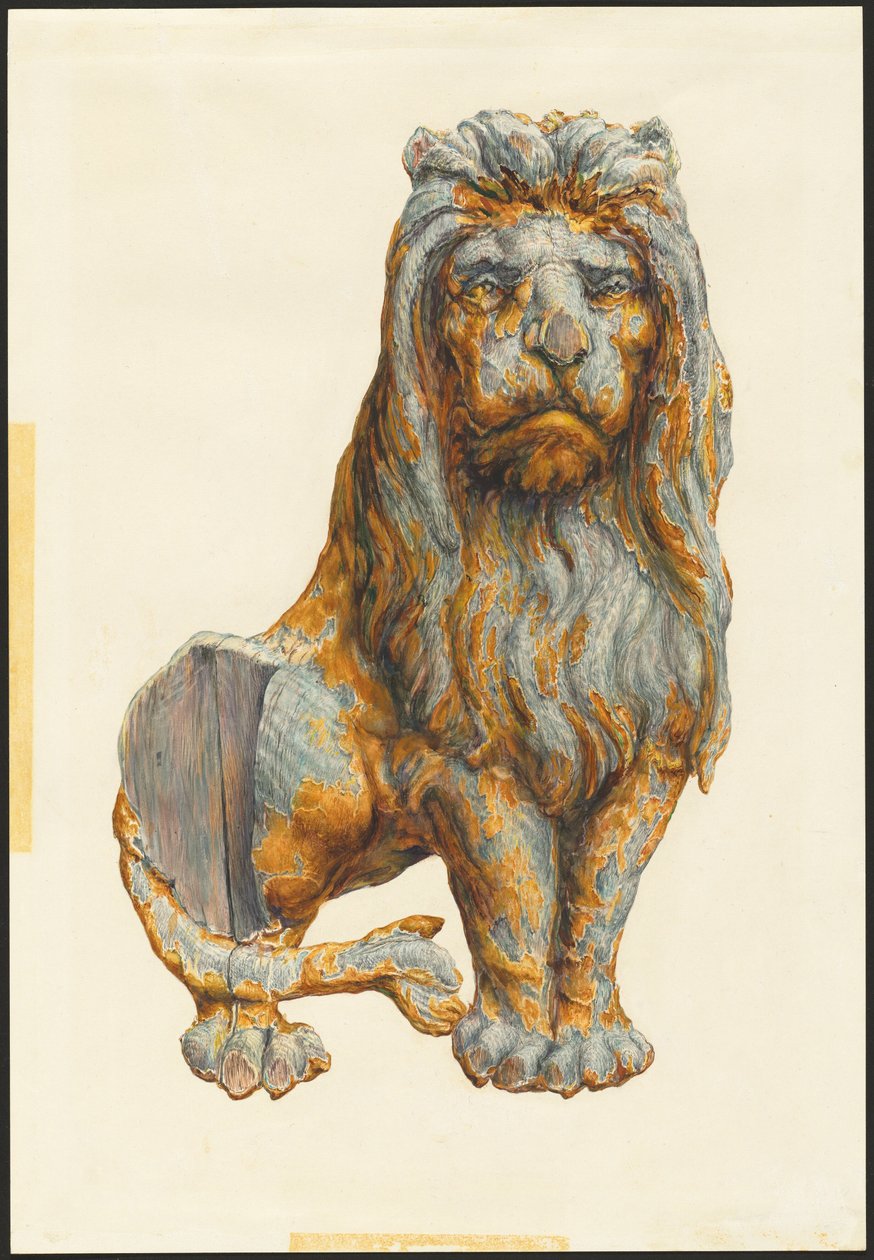 Lion by Katharine Merrill