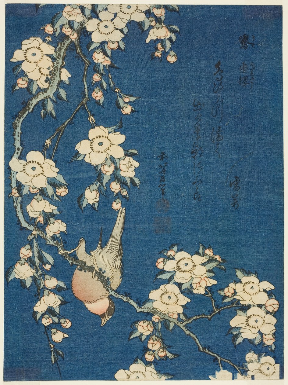 Bullfinch and Weeping Cherry by Katsushika Hokusai