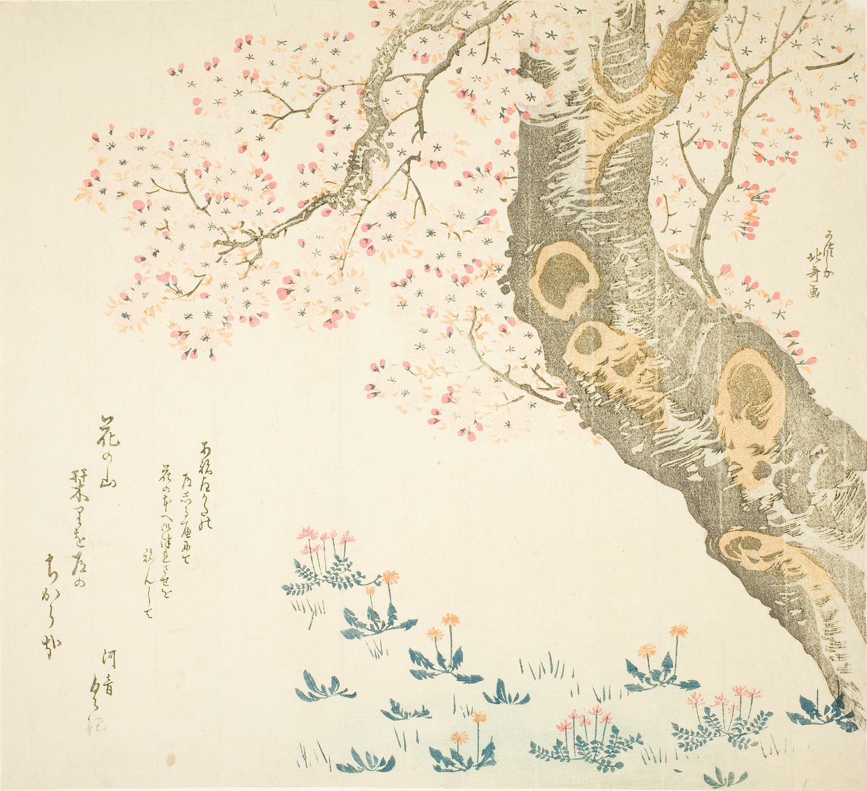Dandelions and Clovers Beneath Cherry Tree by Katsushika Hokusai