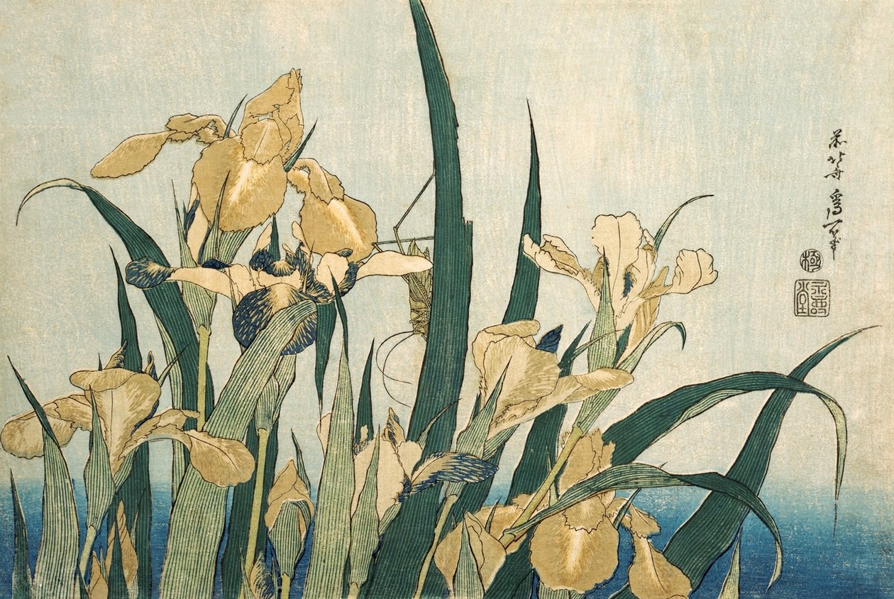 Irises with a Grasshopper, pub.1830 by Katsushika Hokusai