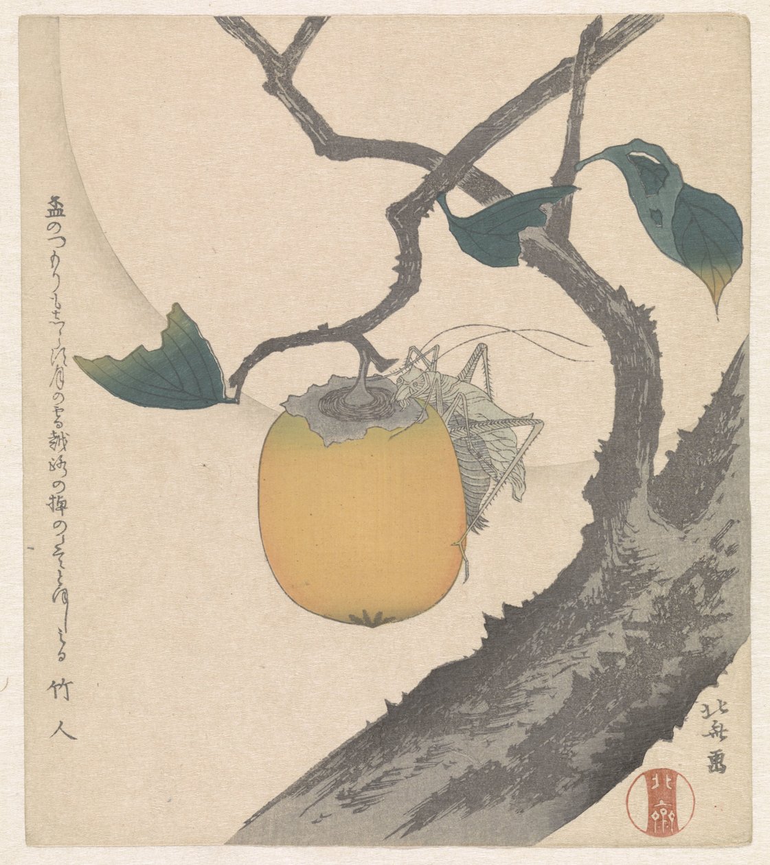 Persimmon with Grasshopper by Katsushika Hokusai