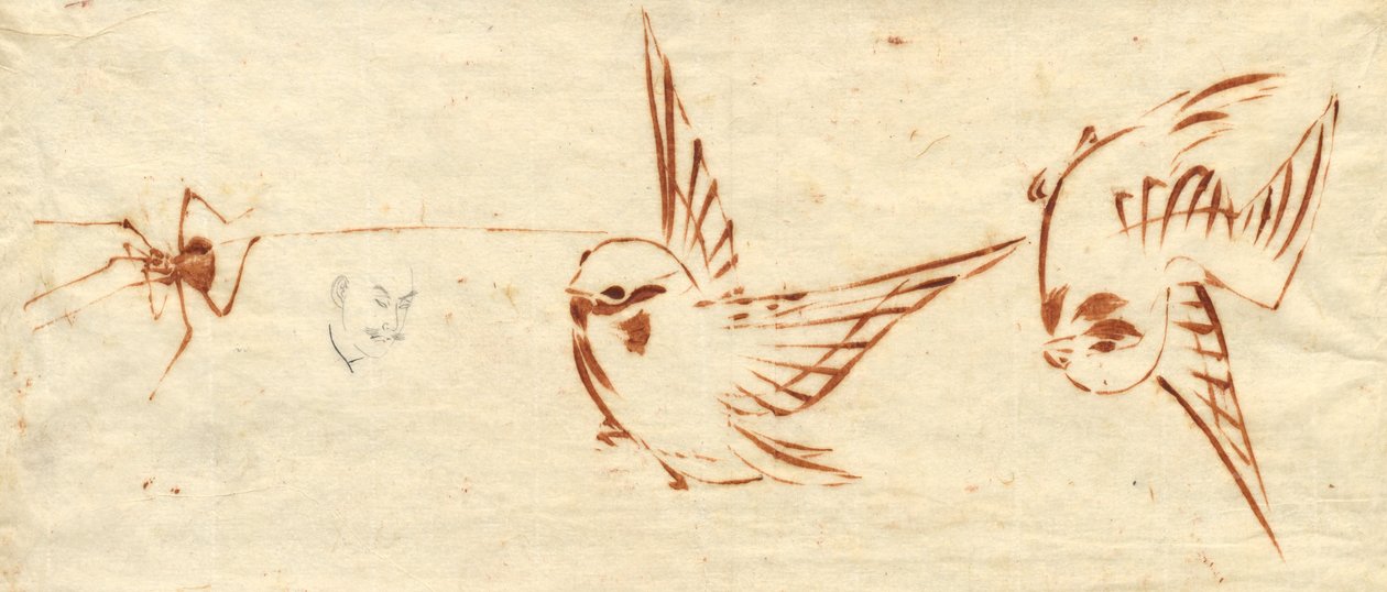 Sketch Page with Birds and Spider by Katsushika Hokusai